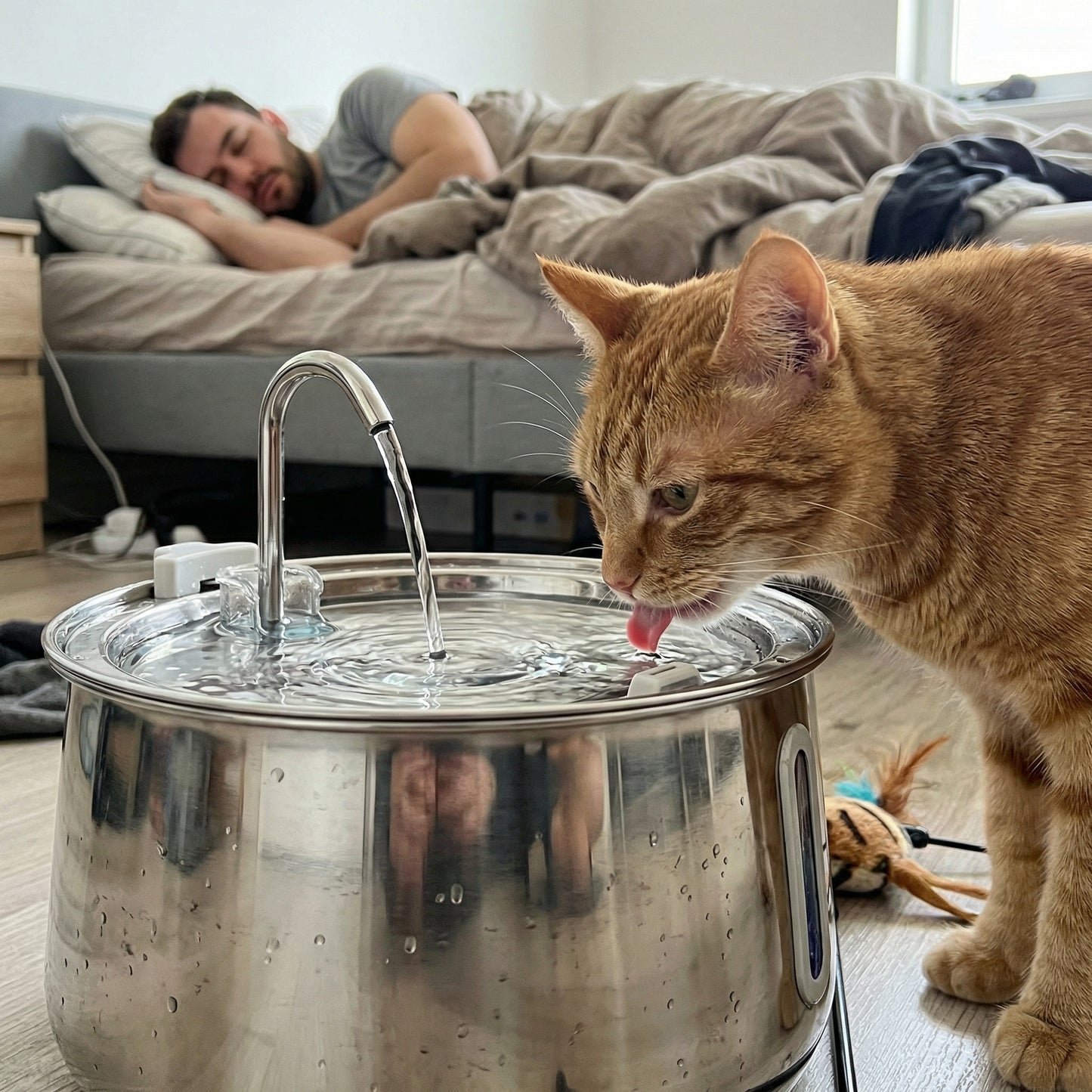 Fontaine à eau pour chat automatique 4L avec eau qui coule en continu