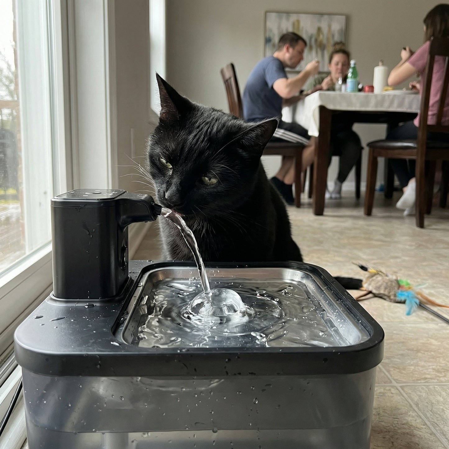 Chat buvant dans une fontaine à eau 2,5 L silencieuse