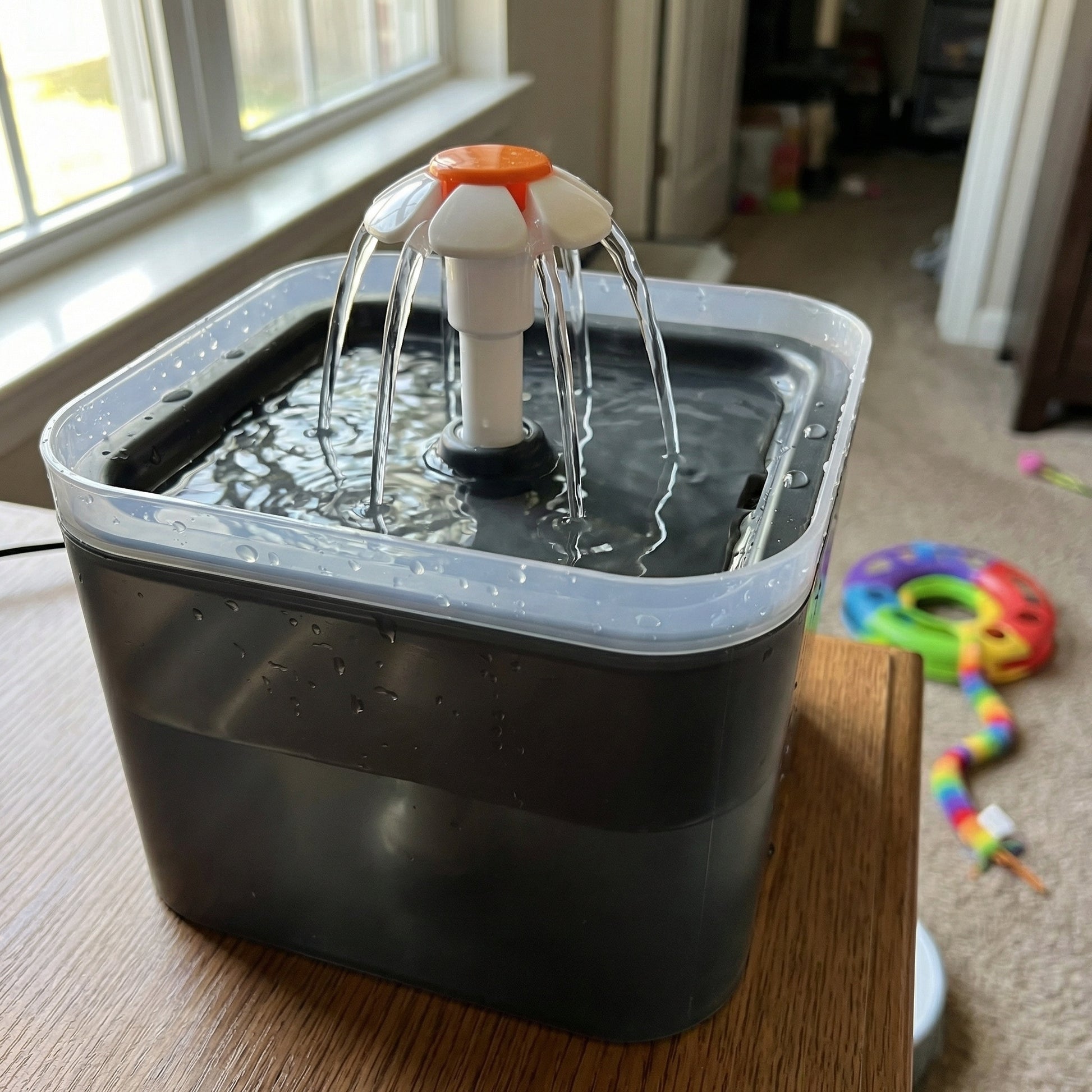 Fontaine à eau pour chat