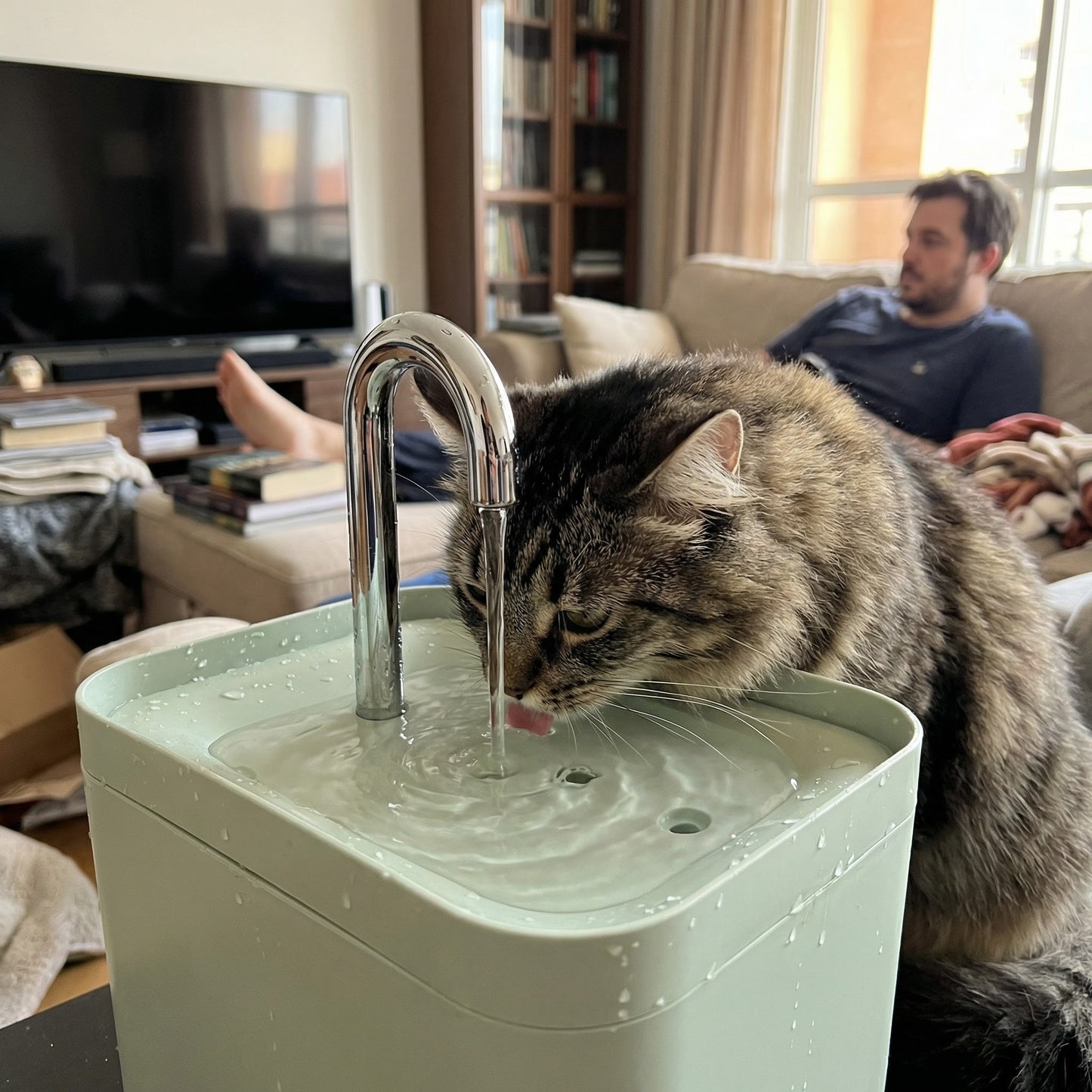 Chat buvant dans une fontaine à eau silencieuse