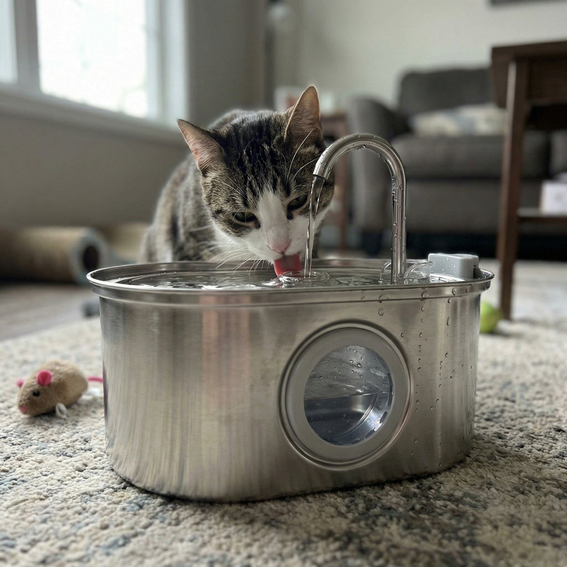 Fontaine à eau pour chat 3,2 L en acier inoxydable avec fenêtre du niveau d'eau visible