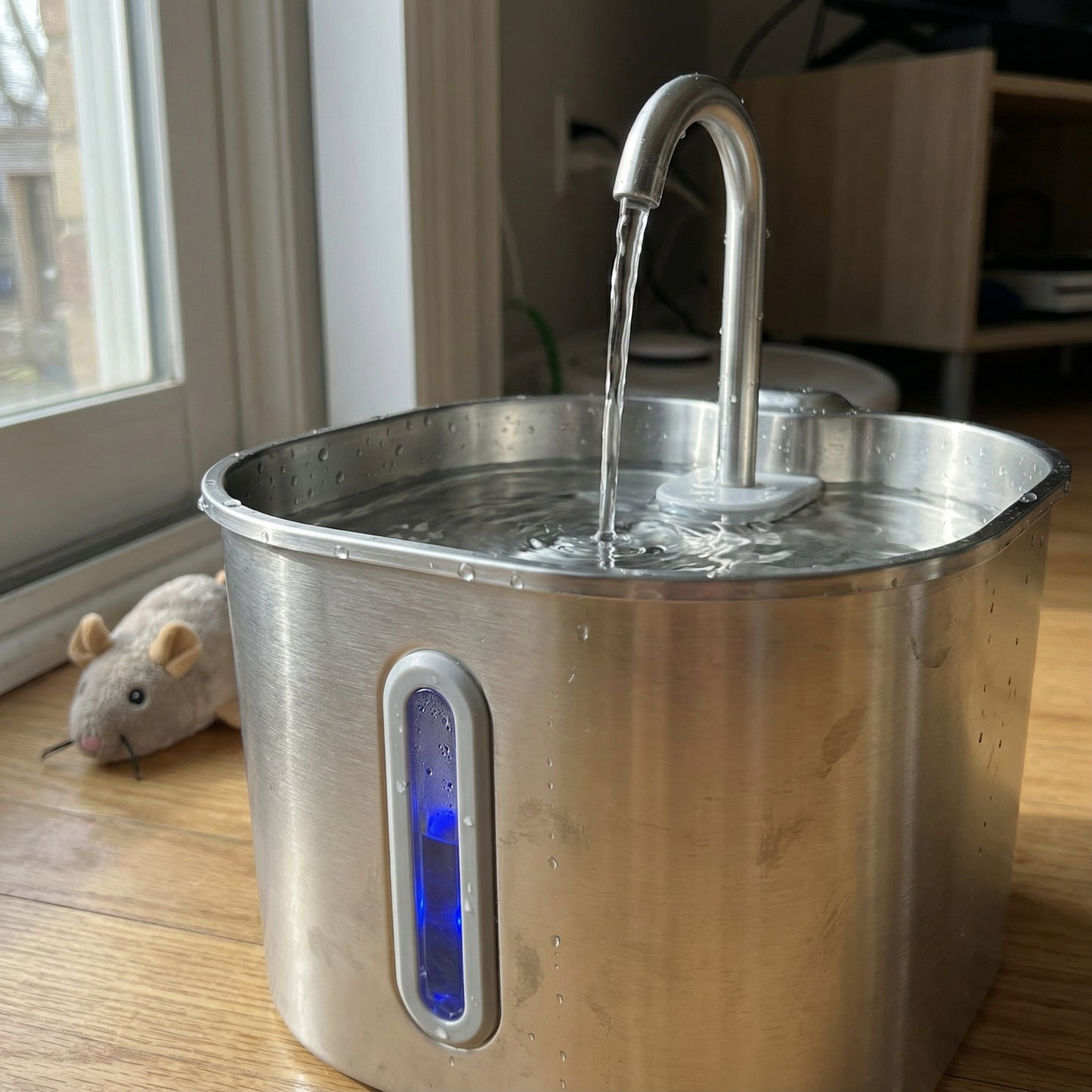 Fontaine à eau pour chat en acier inoxydable 2,2 L avec eau qui coule en continu