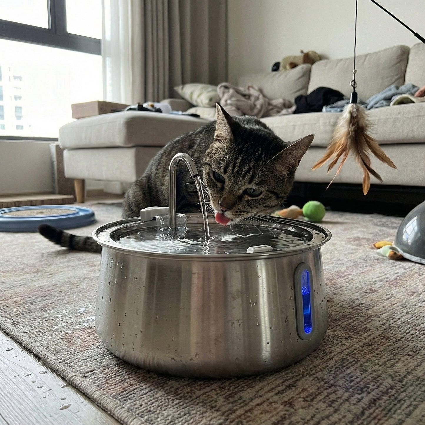 Chat buvant dans une fontaine à eau avec eau qui coule en continu