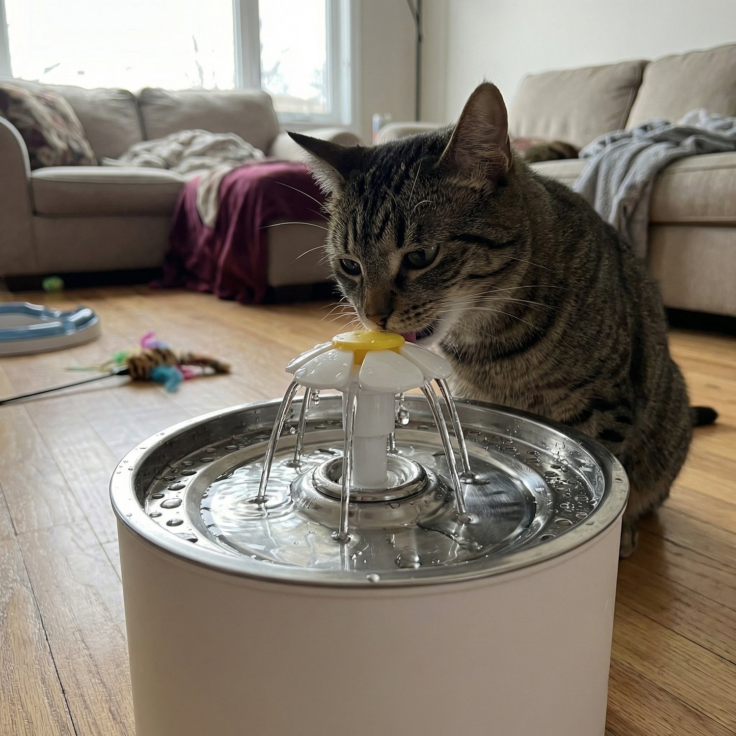 Chat buvant dans une fontaine à eau silencieuse