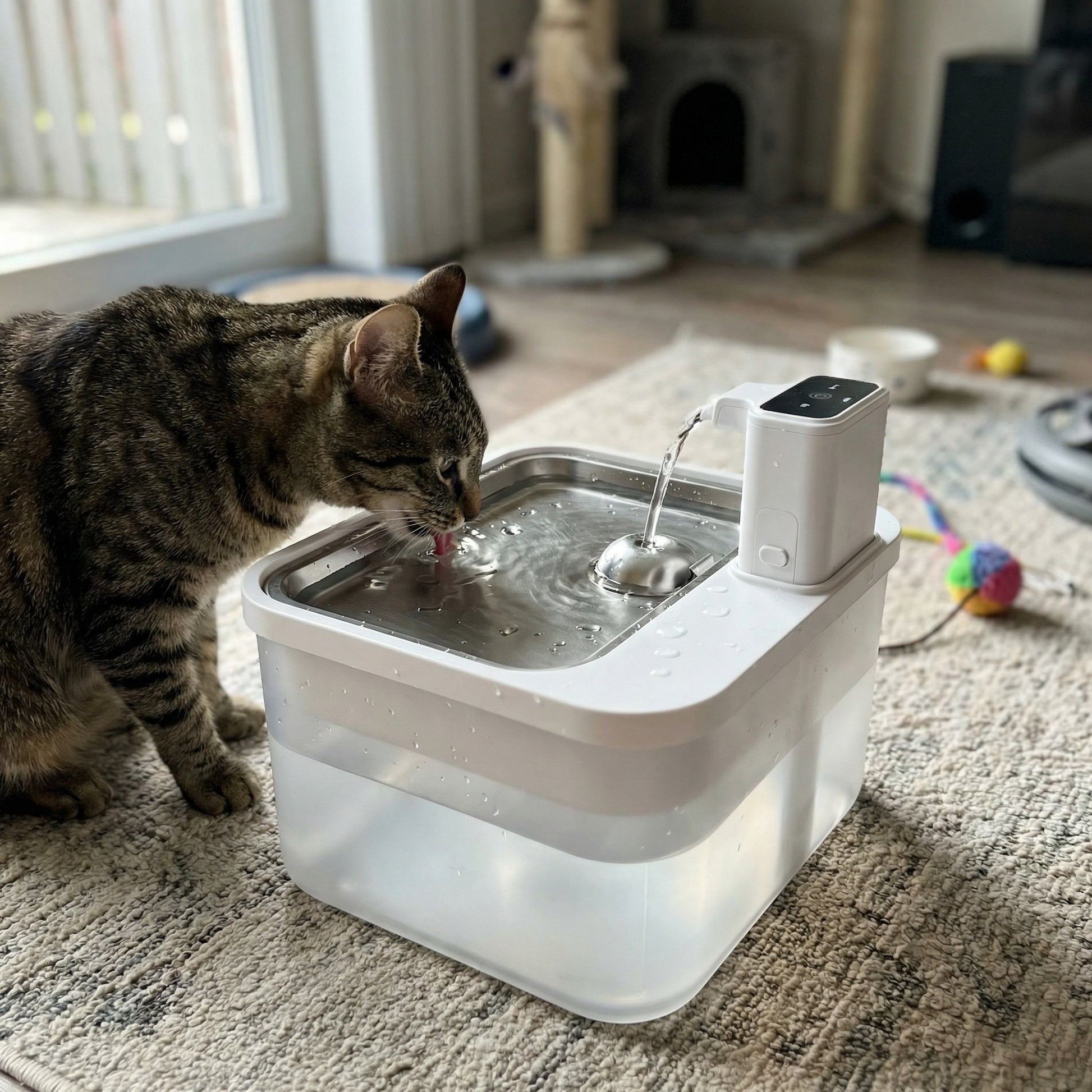 Chat buvant dans une fontaine à eau automatique