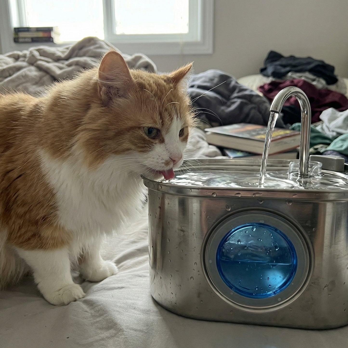 Chat buvant dans une fontaine à eau automatique