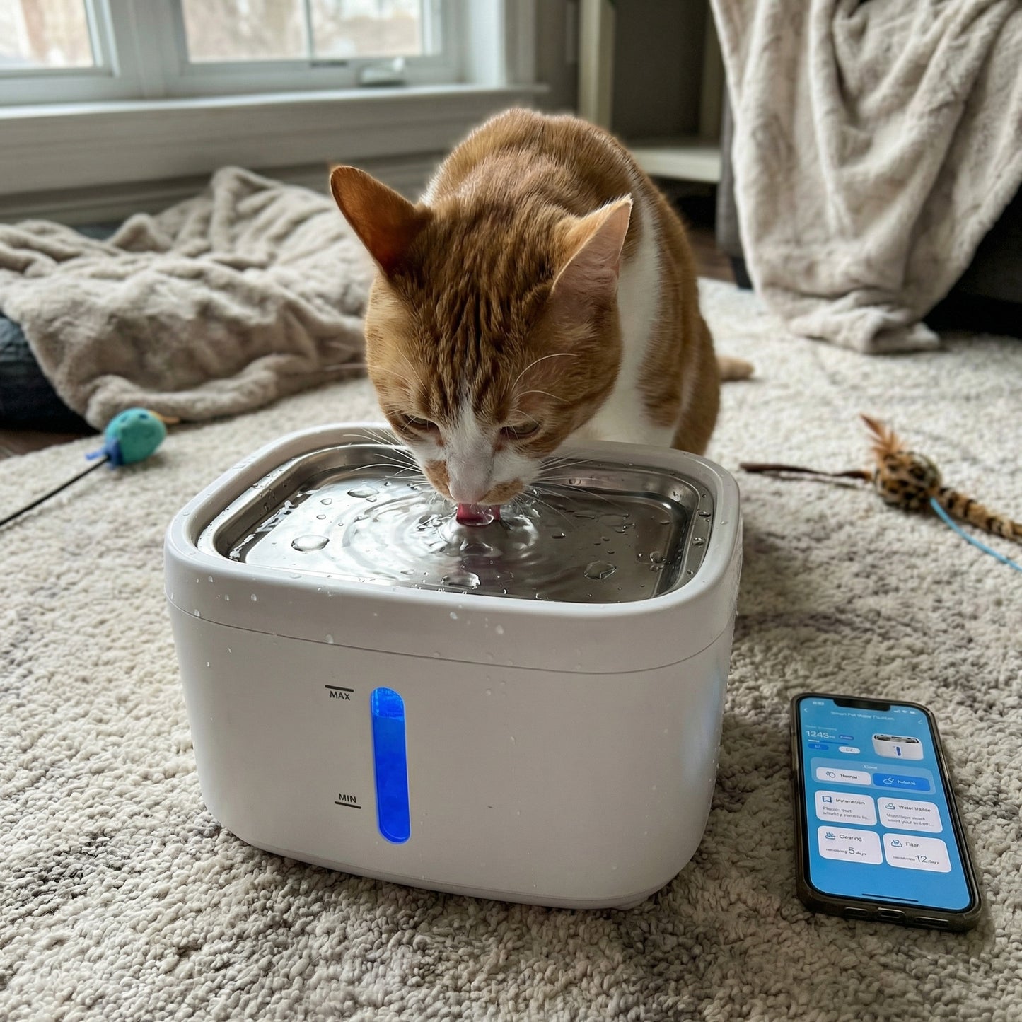 Fontaine à eau pour chat en Wifi