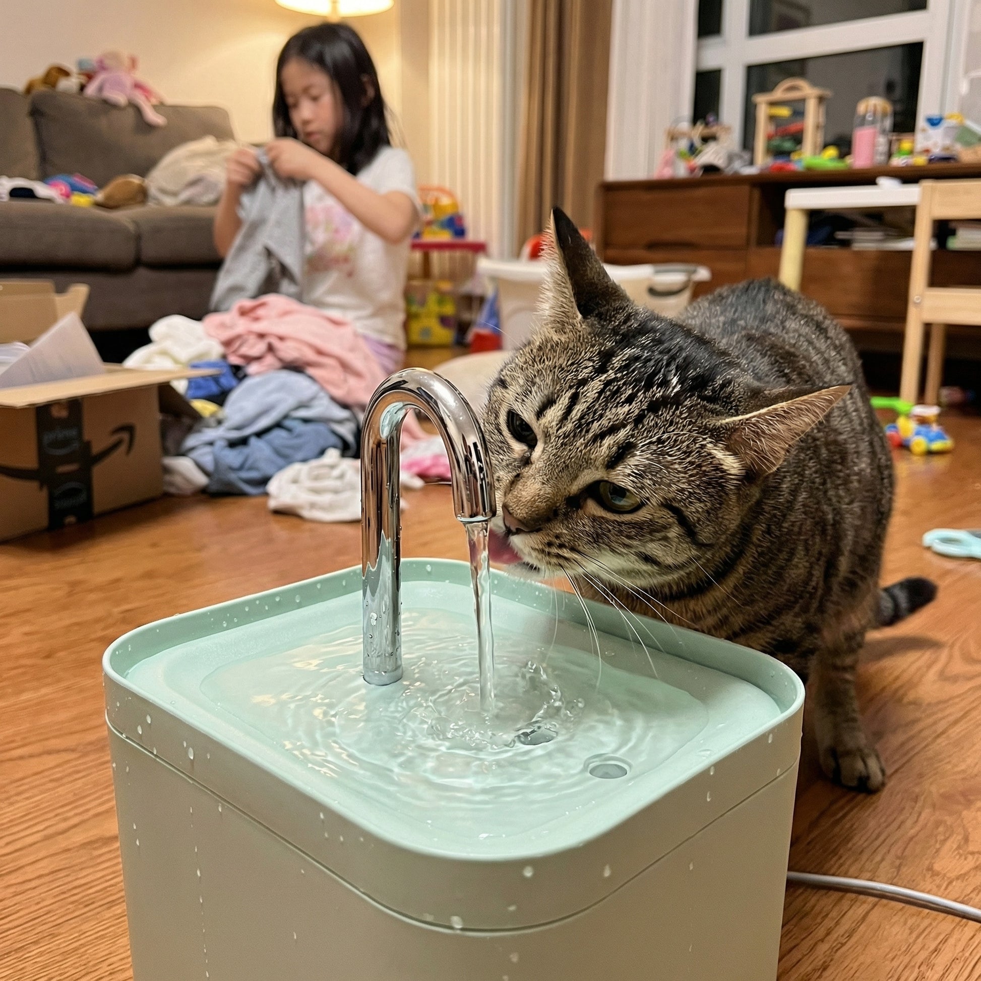 Chat buvant dans une fontaine à eau automatique