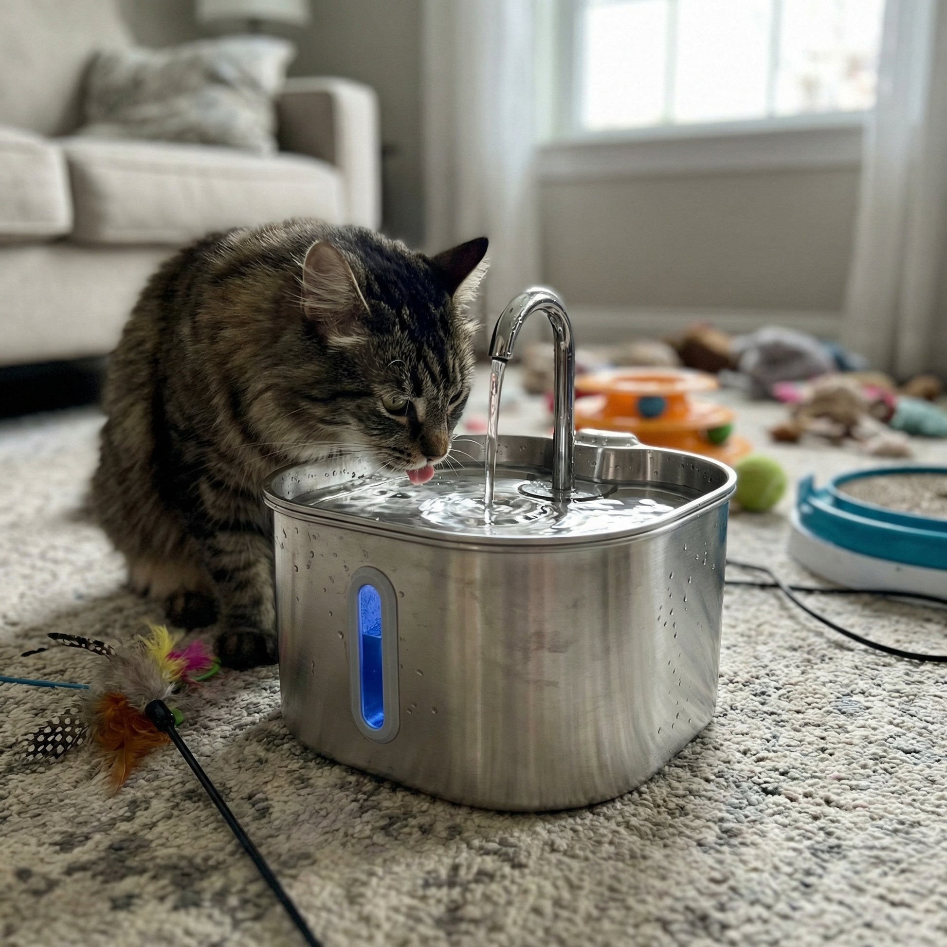 Chat buvant dans une fontaine à eau 2,2 L