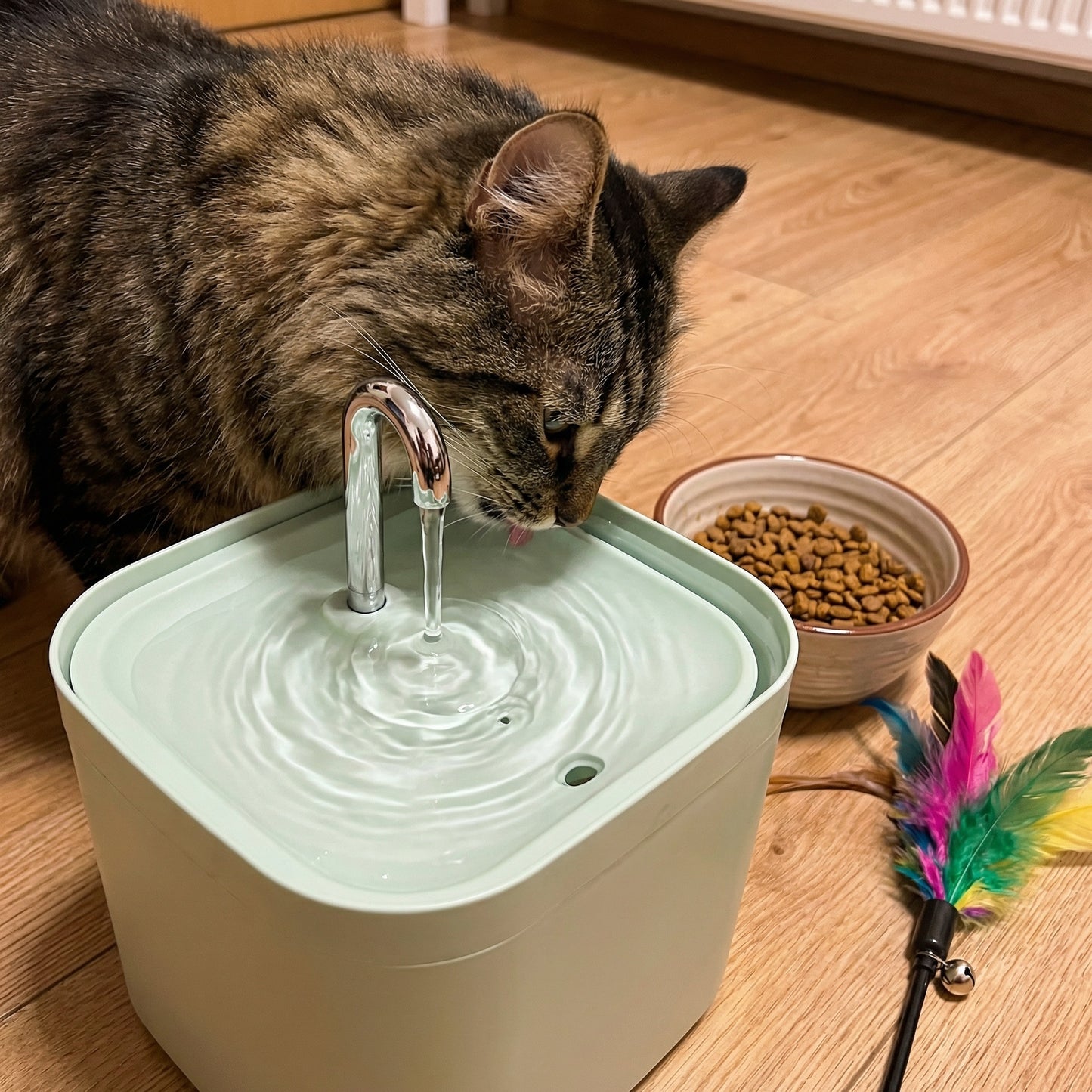Chat buvant dans une fontaine à eau