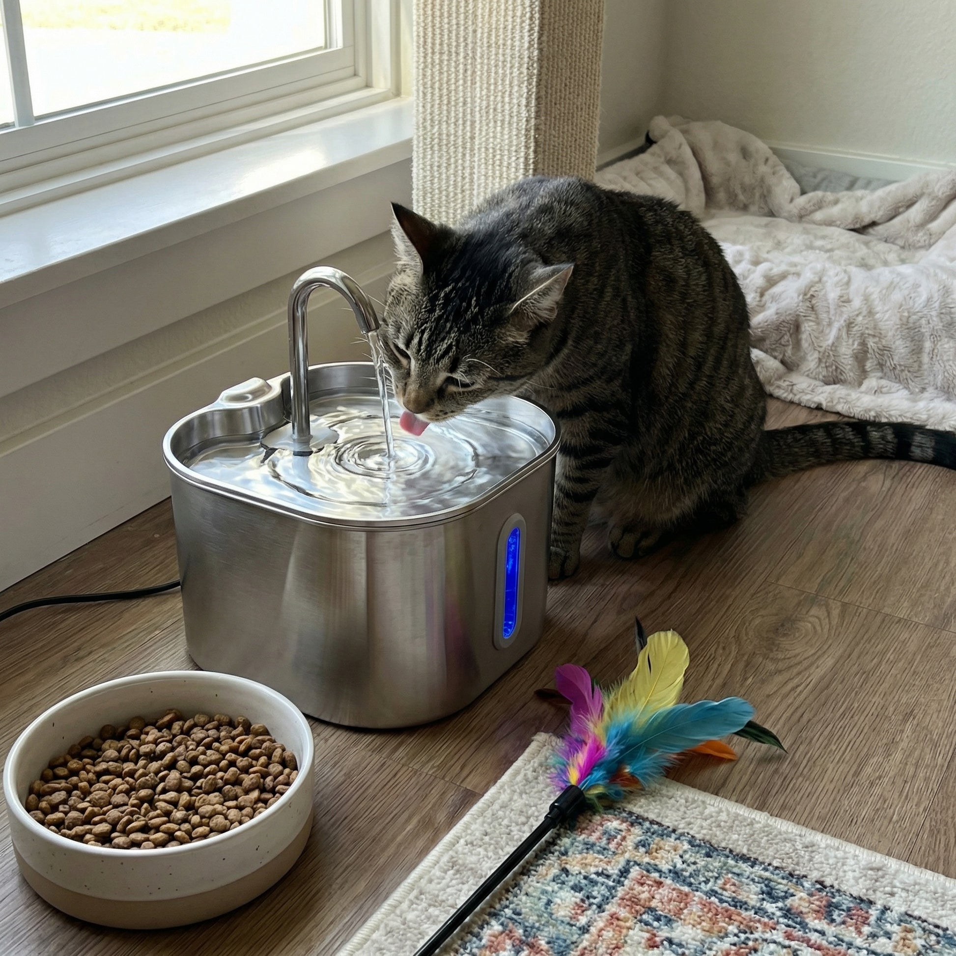 Chat buvant dans une fontaine à eau en acier inoxydable 