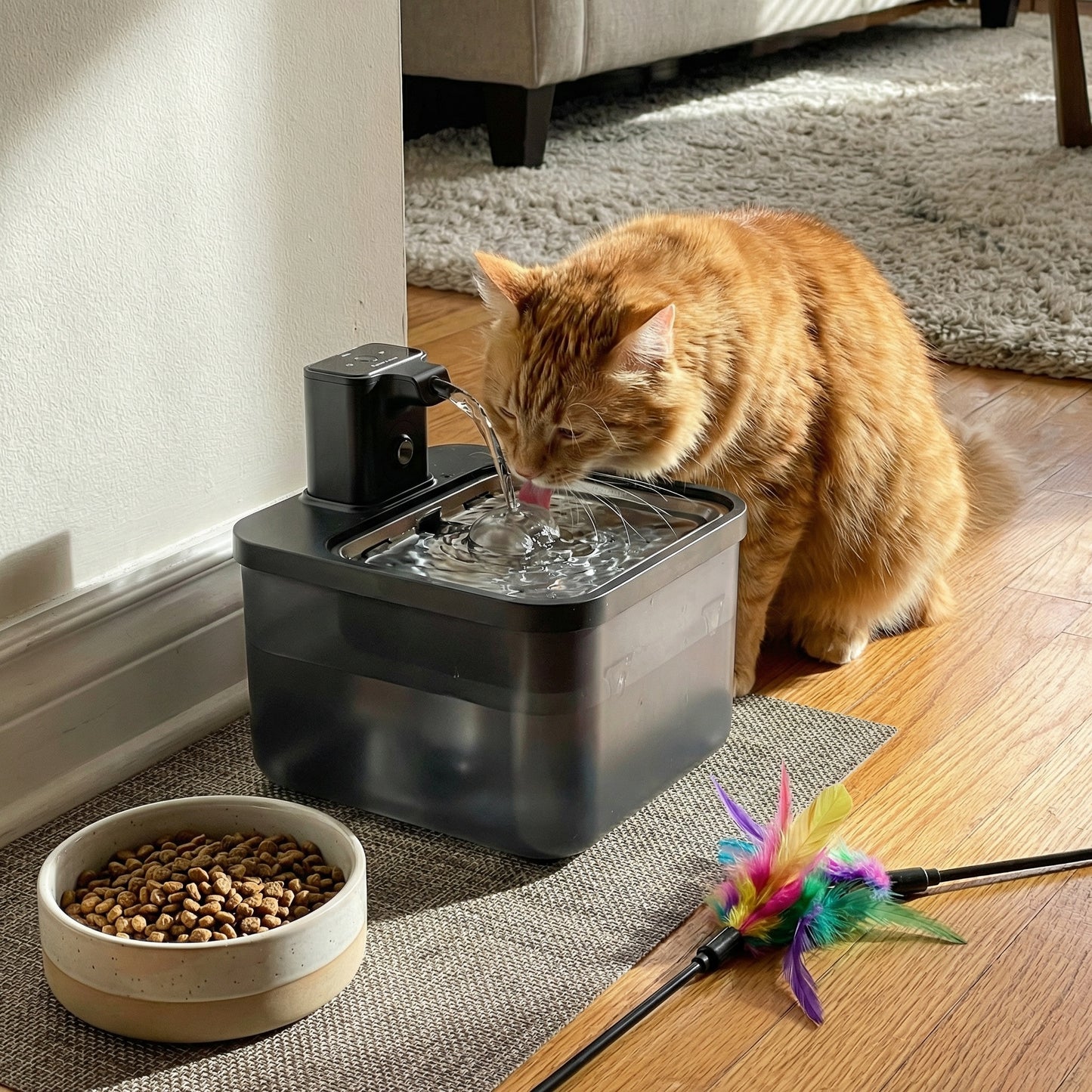 Chat buvant dans une fontaine à eau 