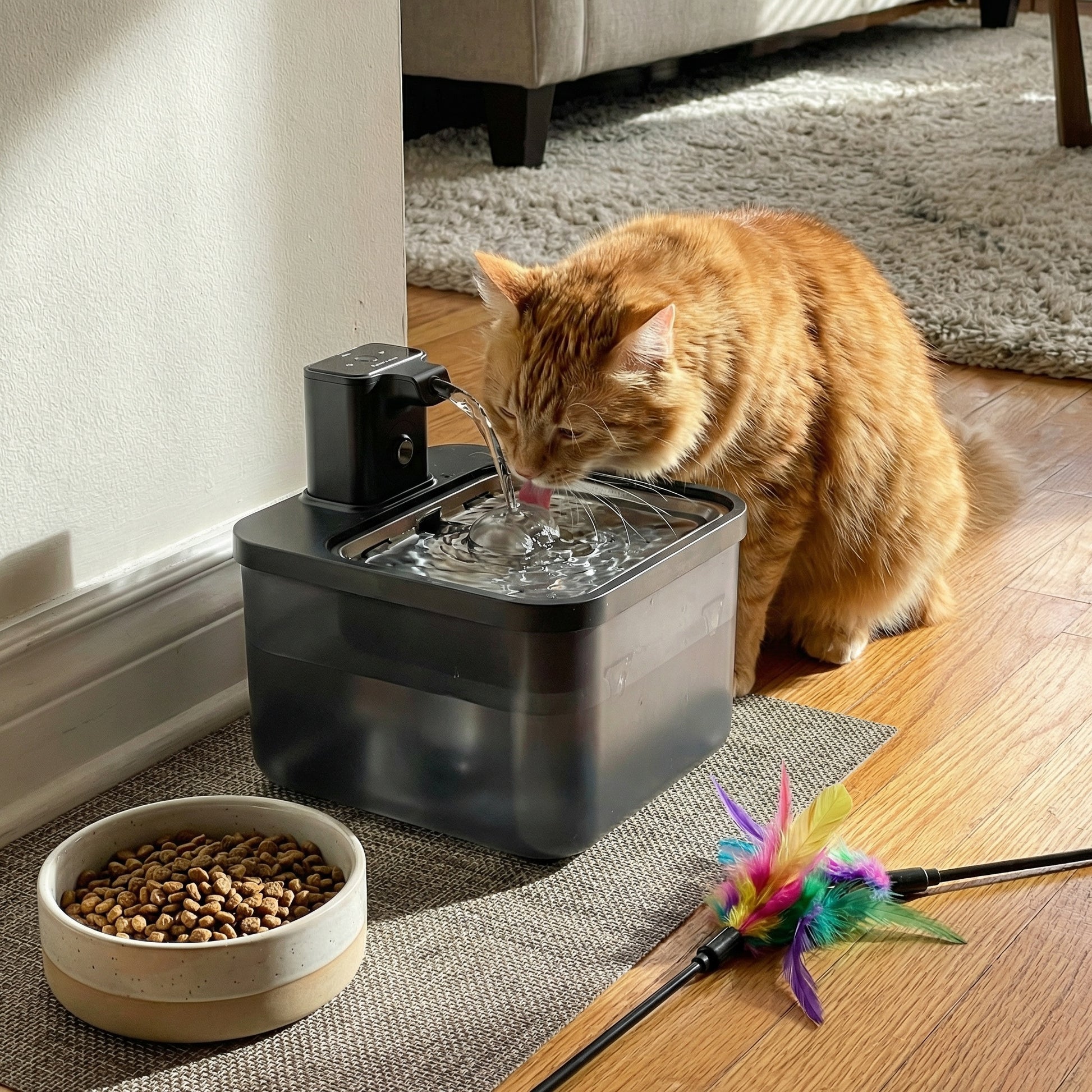 Chat buvant dans une fontaine à eau 