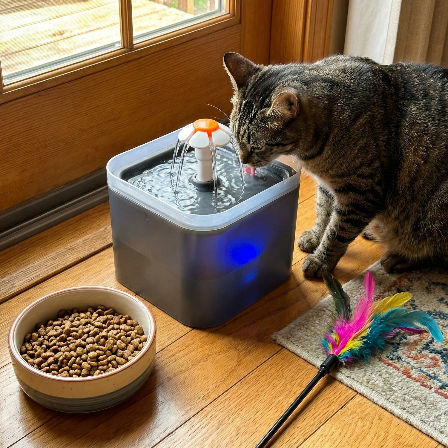 Chat buvant dans une fontaine à eau 