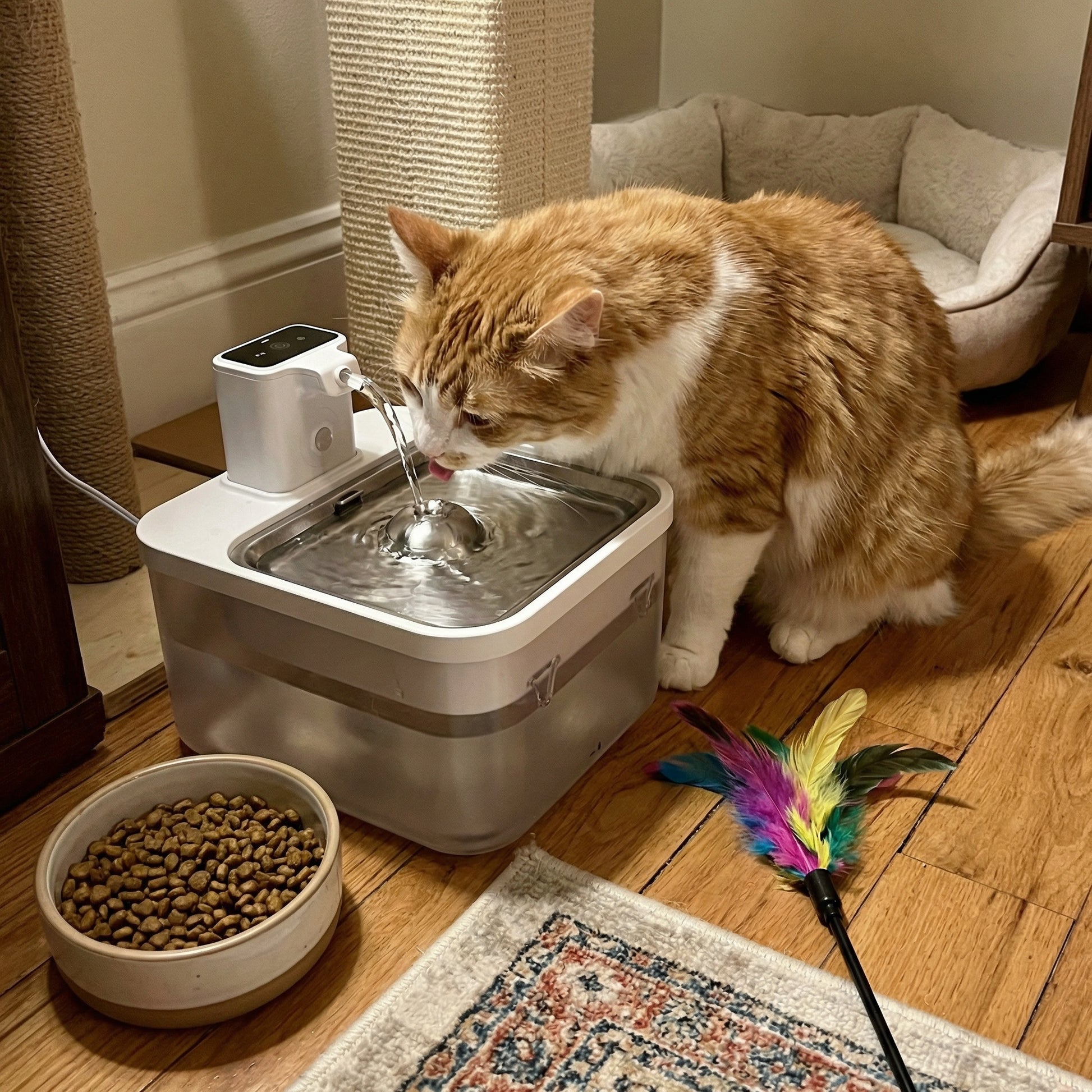 Chat buvant dans une fontaine à eau 