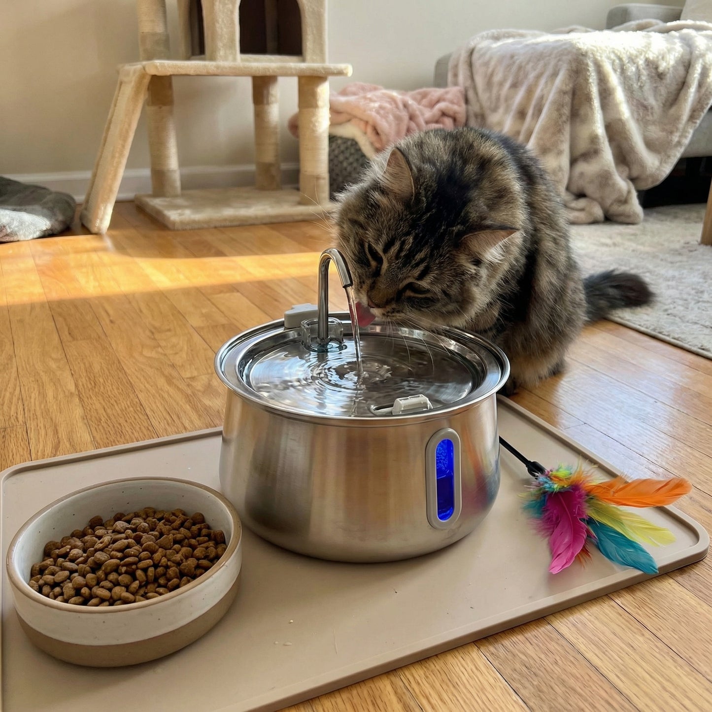 Chat buvant dans une fontaine à eau