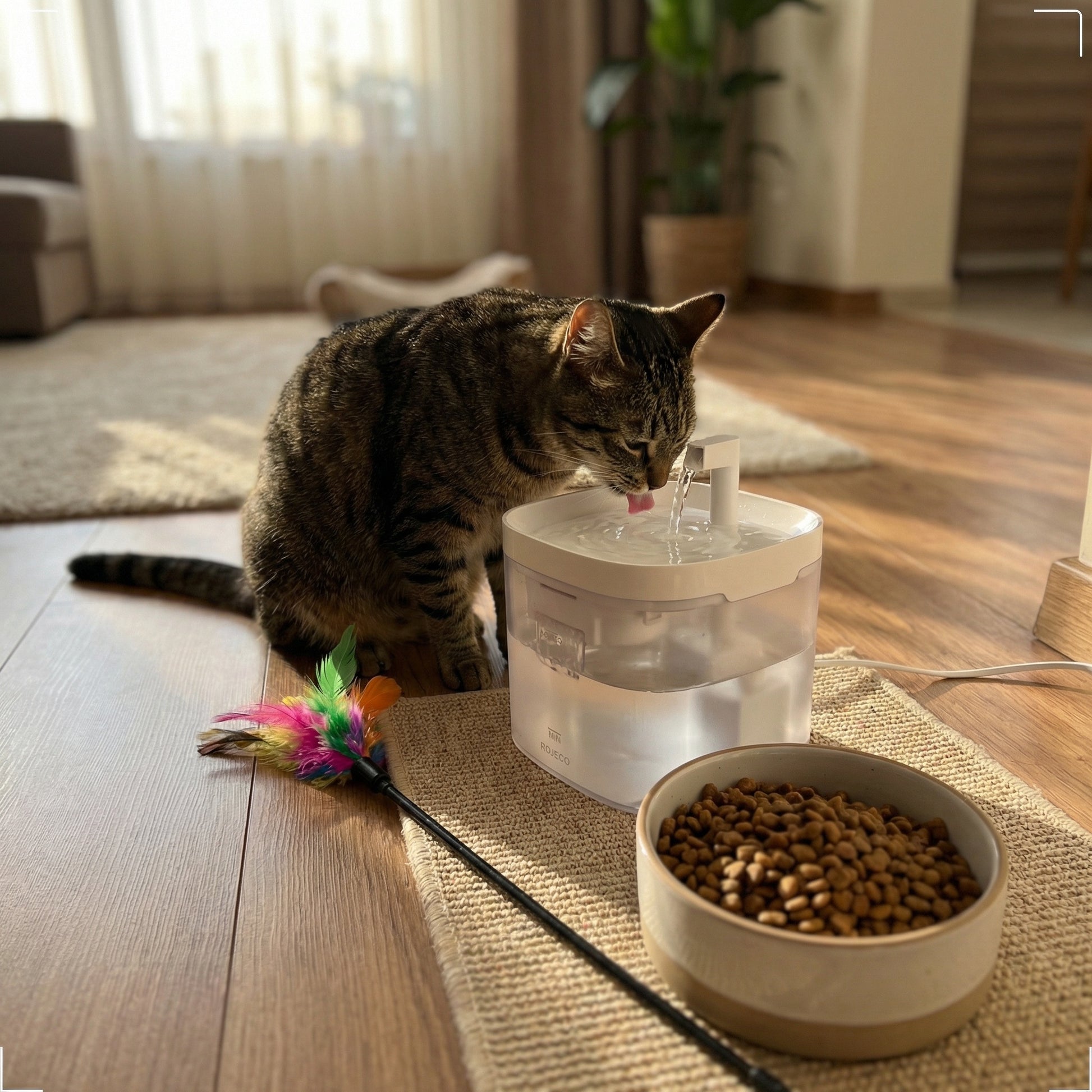 Chat buvant dans une fontaine à eau 
