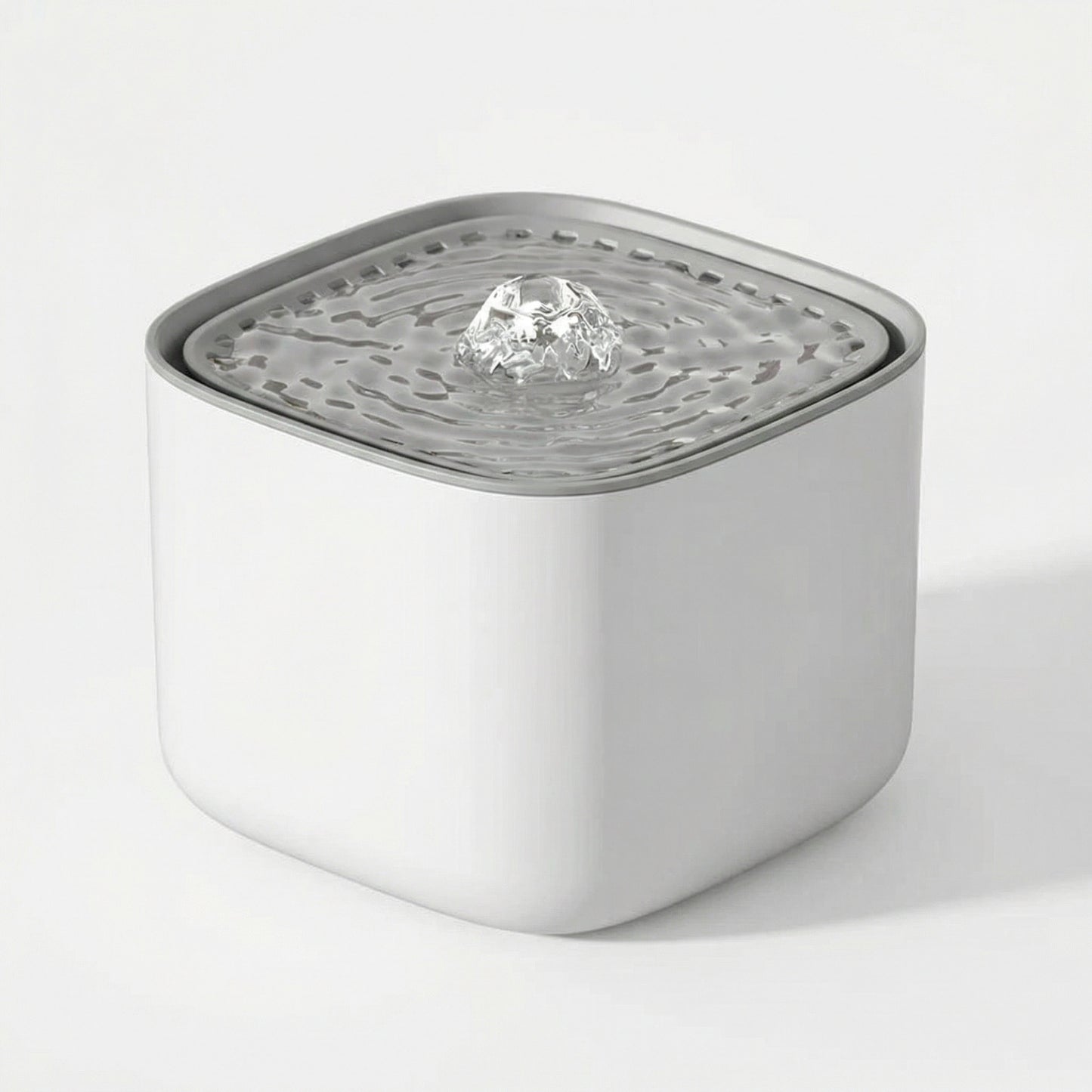 Fontaine à eau pour chat automatique