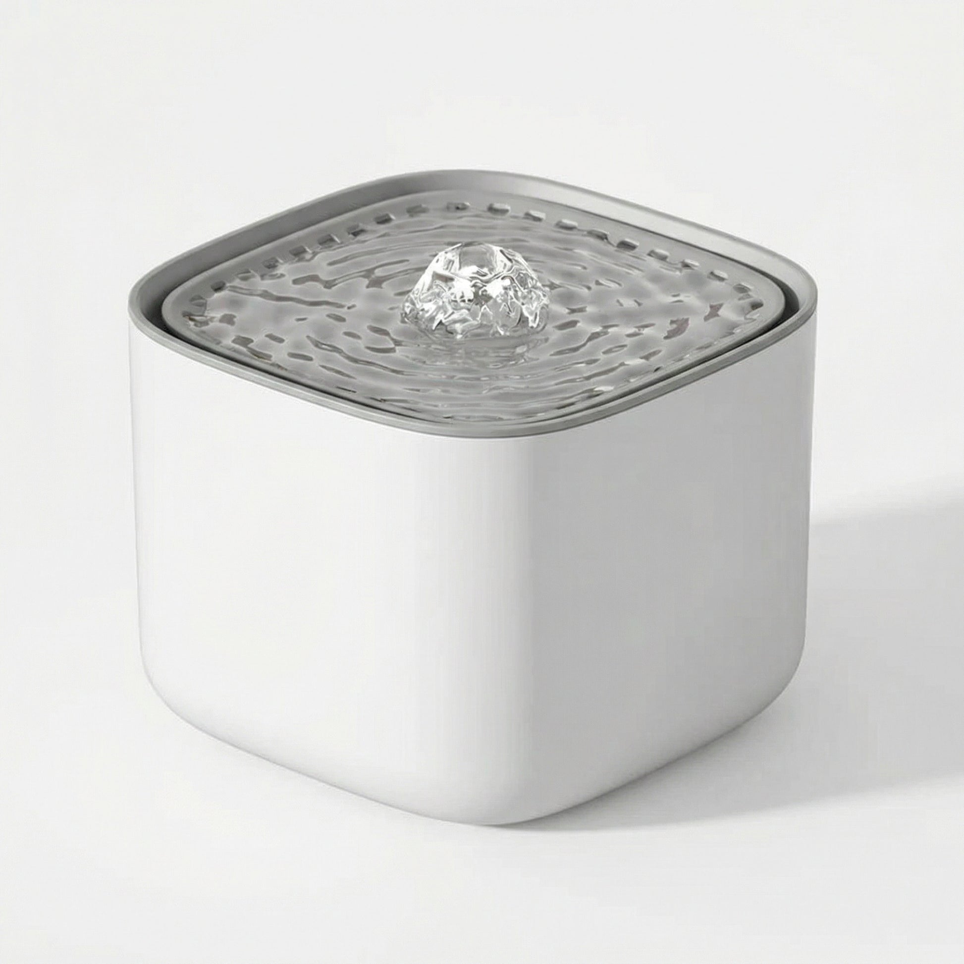 Fontaine à eau pour chat automatique