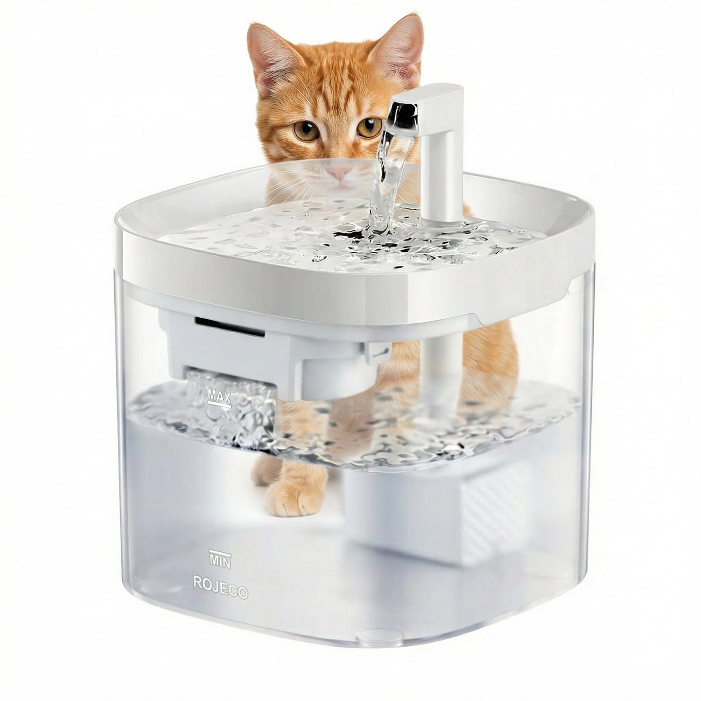 Distributeur à eau pour chat automatique