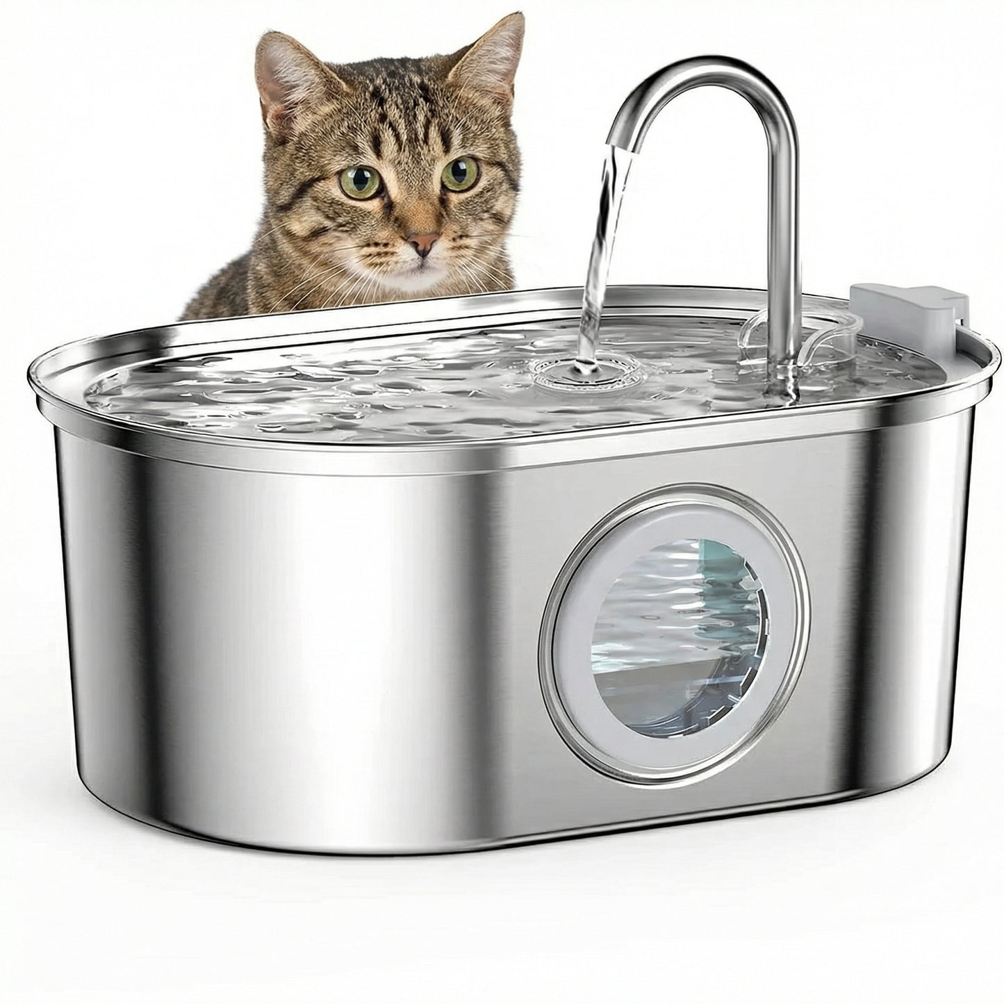 Distributeur à eau pour chat avec fenêtre d'eau visible