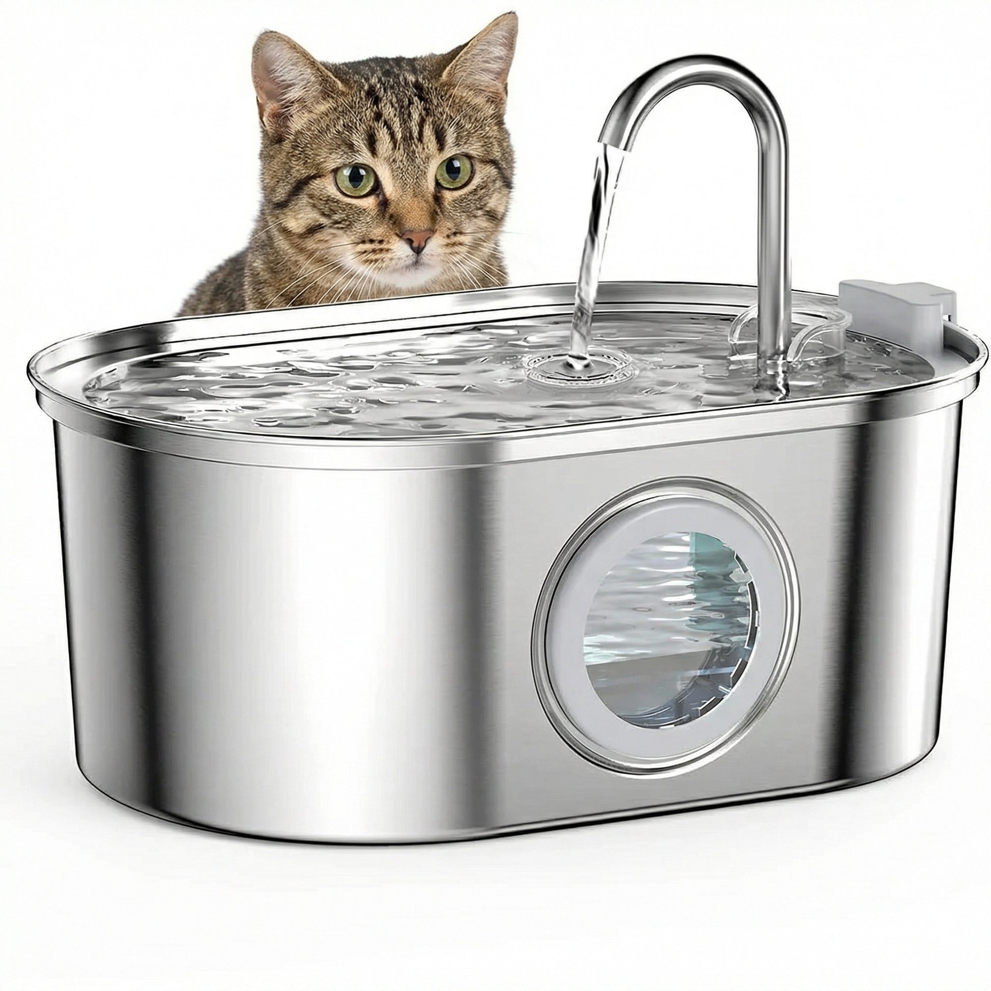 Distributeur à eau pour chat avec fenêtre d'eau visible