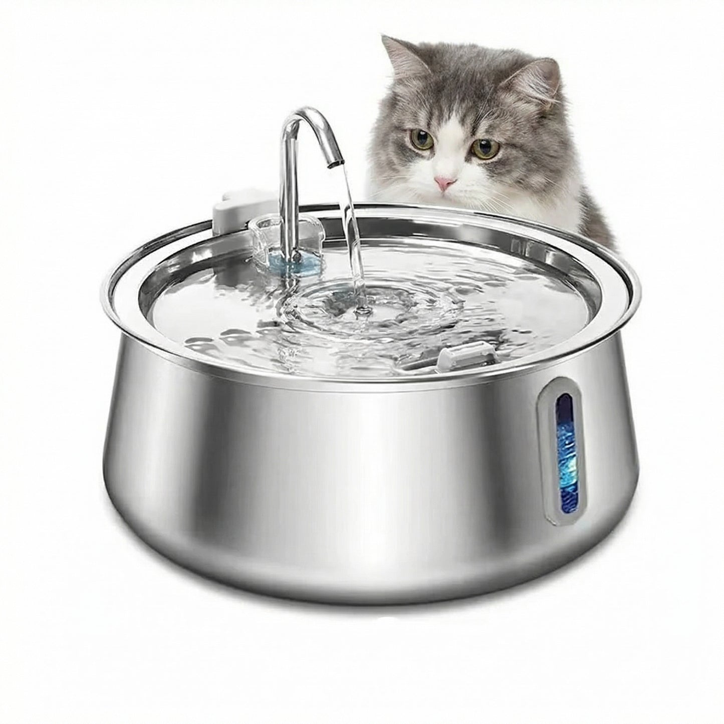 Fontaine à eau pour chat avec eau qui coule en continu