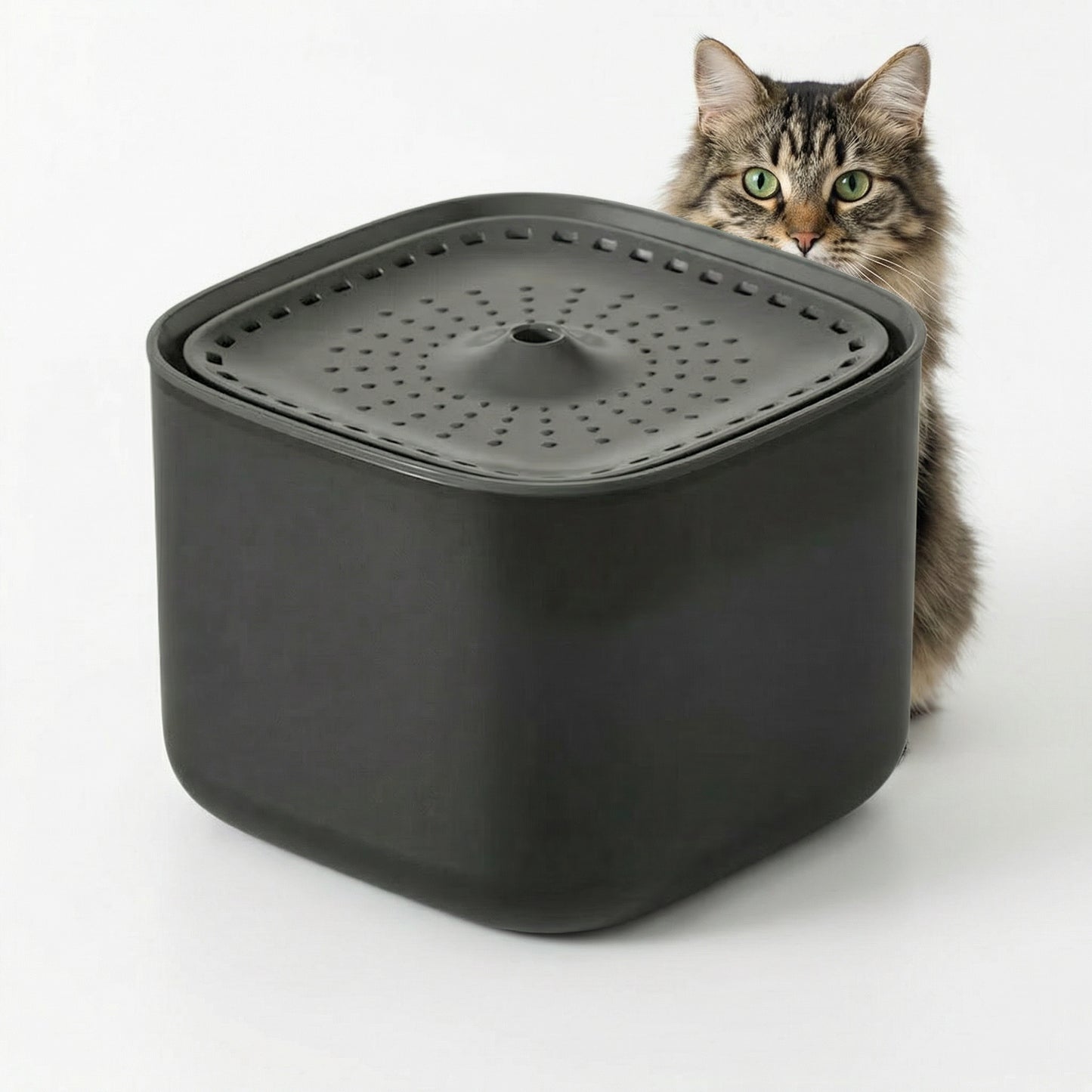Fontaine à eau pour chat 2L automatique silencieuse avec eau qui coule en continu