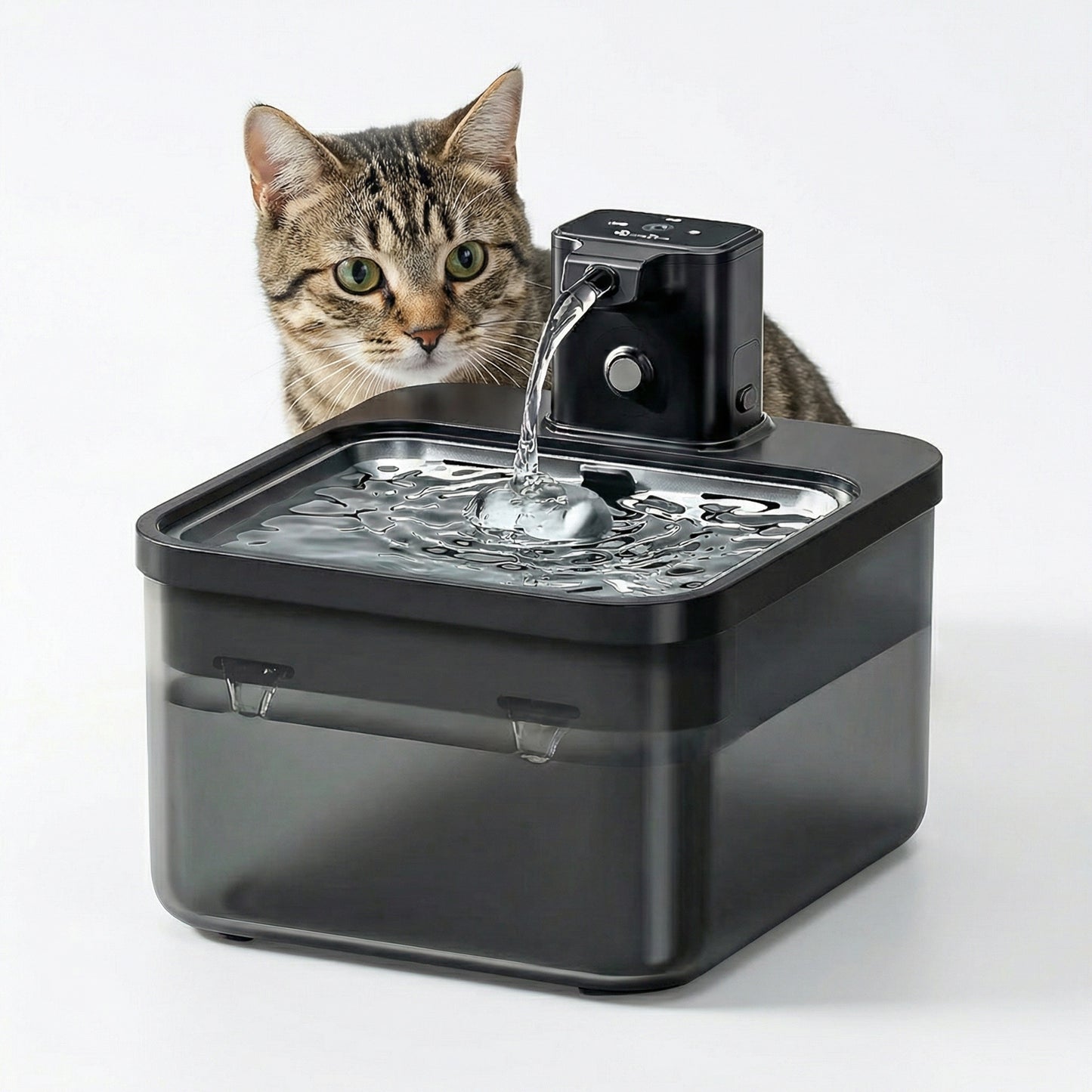 Fontaine à eau pour chat avec batterie