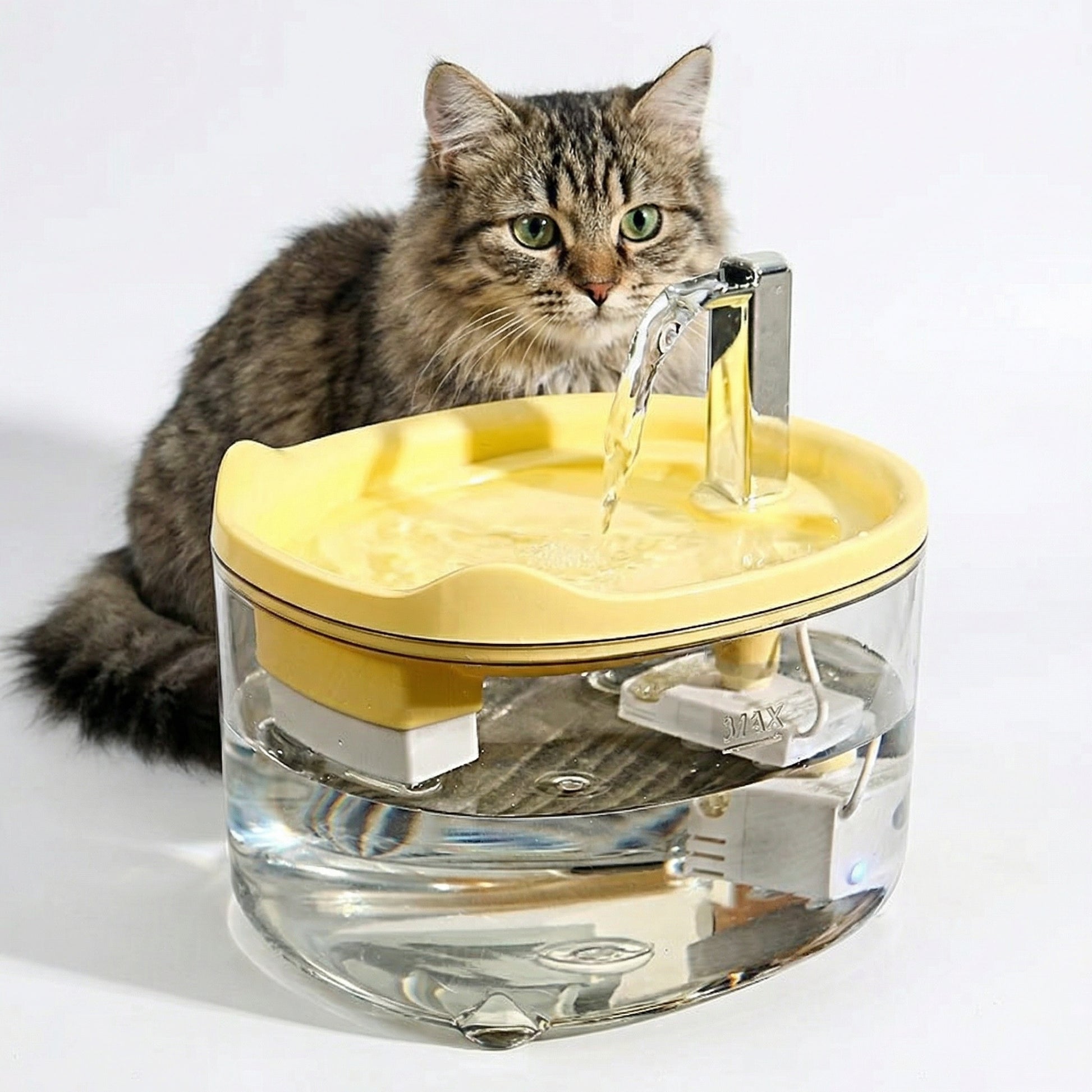 Fontaine à eau pour chat automatique avec eau en continu
