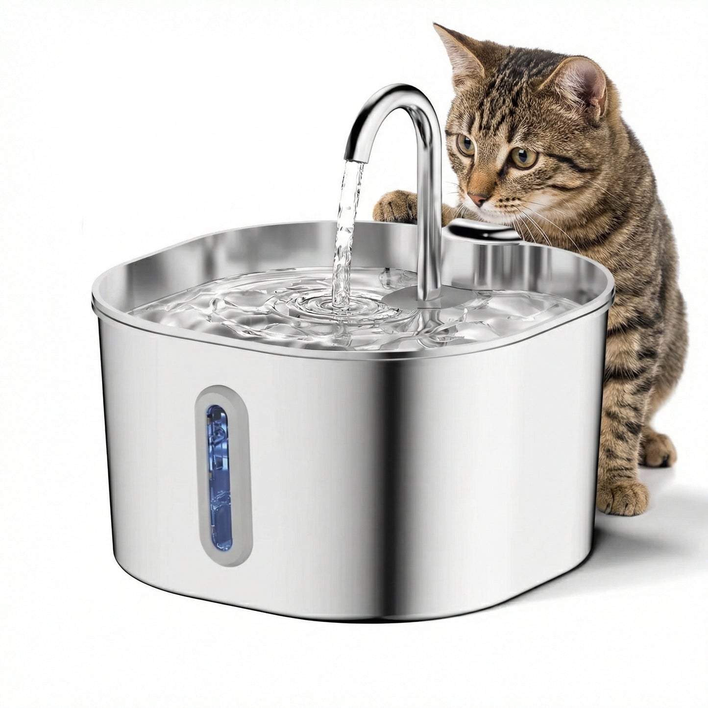 Fontaine à eau pour chat avec eau qui coule en continu