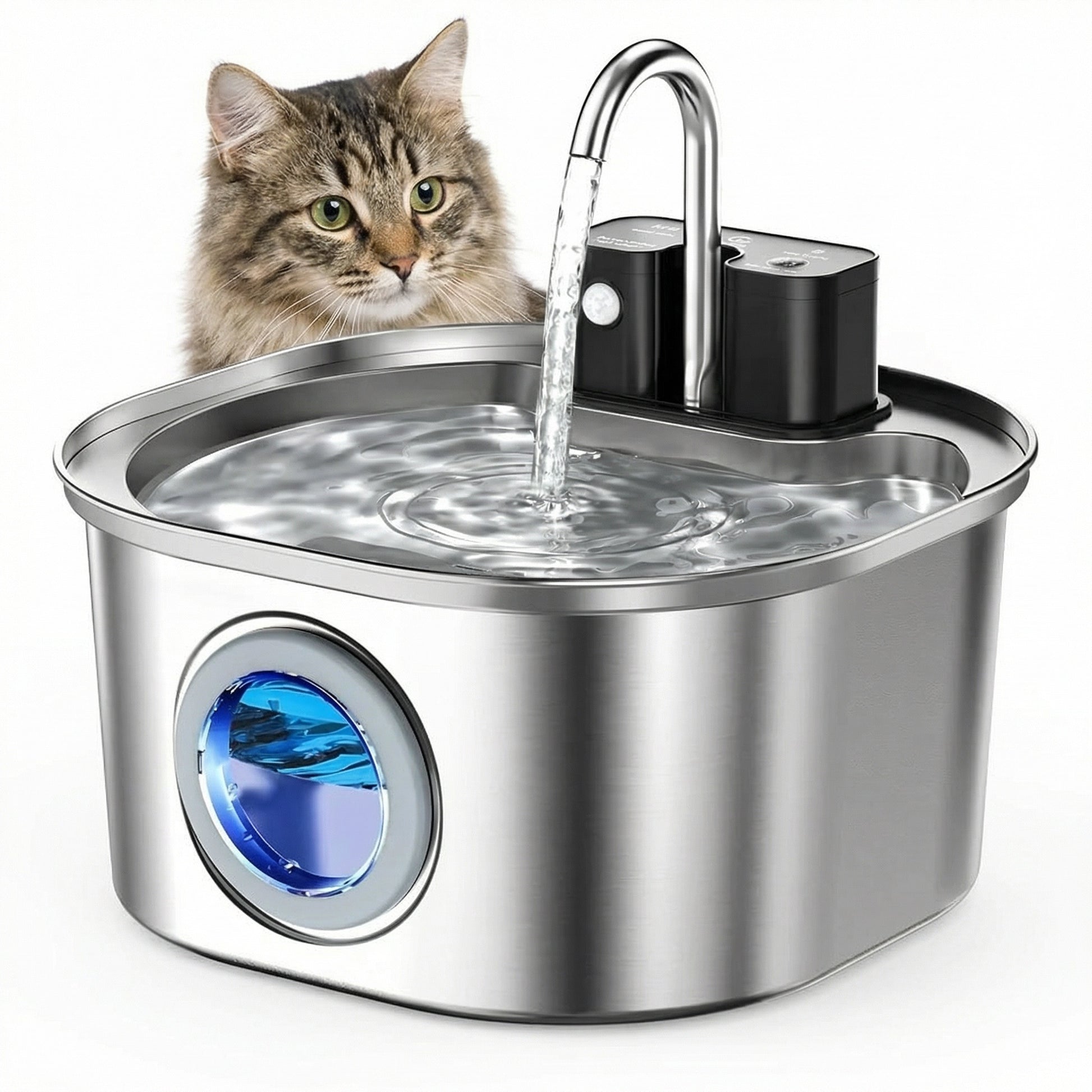Fontaine à eau pour chat automatique en acier inoxydable 3 L avec eau en continu