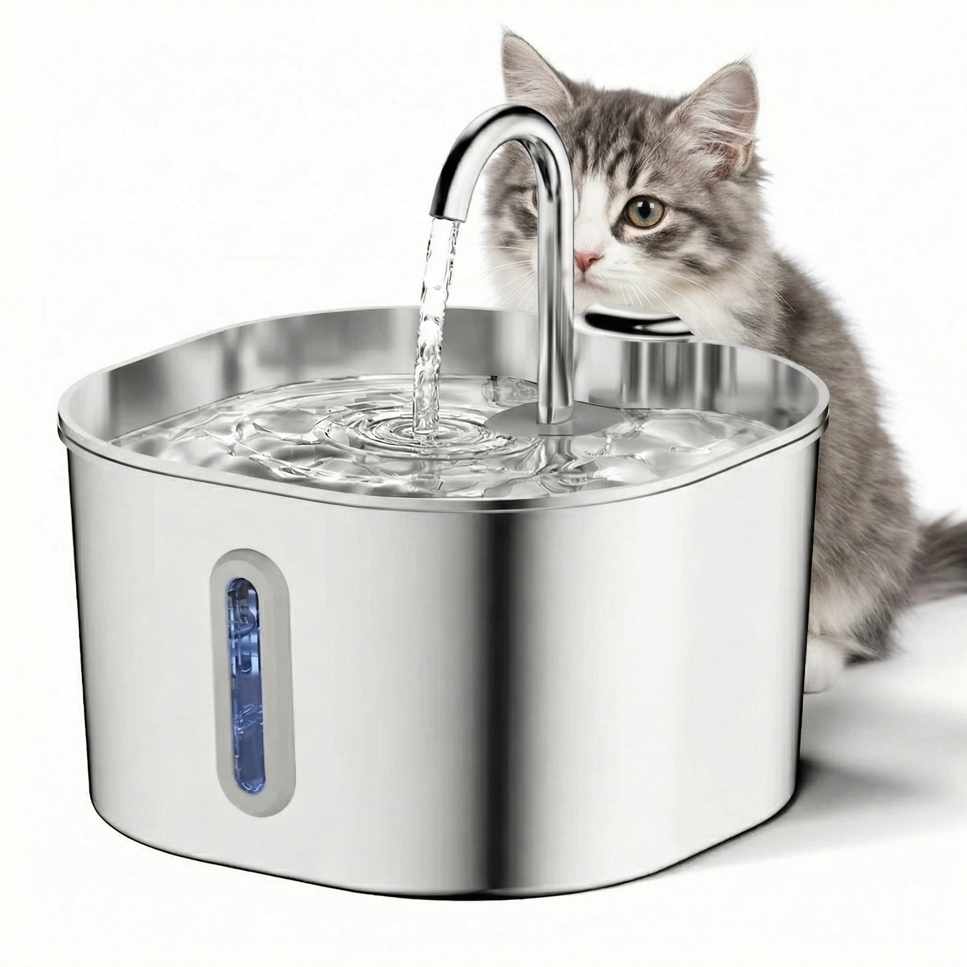 Fontaine à eau pour chat 2,2 L en inox avec capteur de présence